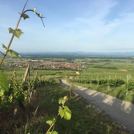 L'invitation Au Voyage Apartment Eguisheim