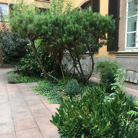 L'invitation Au Voyage * אגויסהיים